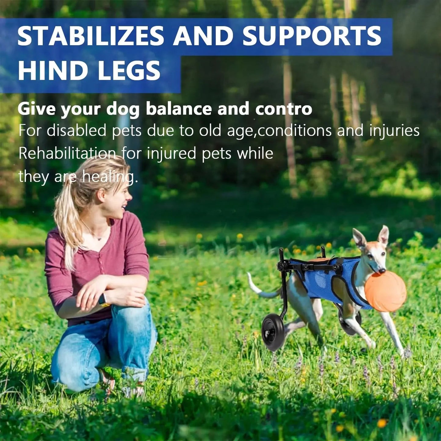 Adjustable Pet Walk Booster Walking Wheels Durable Pet Hind Legs Bracket Blue Pet Walk Tool Cat Recovery Aid Car Disability Dog - The Squeaky Toy