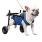 Adjustable Pet Walk Booster Walking Wheels Durable Pet Hind Legs Bracket Blue Pet Walk Tool Cat Recovery Aid Car Disability Dog - The Squeaky Toy
