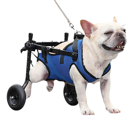 Adjustable Pet Walk Booster Walking Wheels Durable Pet Hind Legs Bracket Blue Pet Walk Tool Cat Recovery Aid Car Disability Dog - The Squeaky Toy