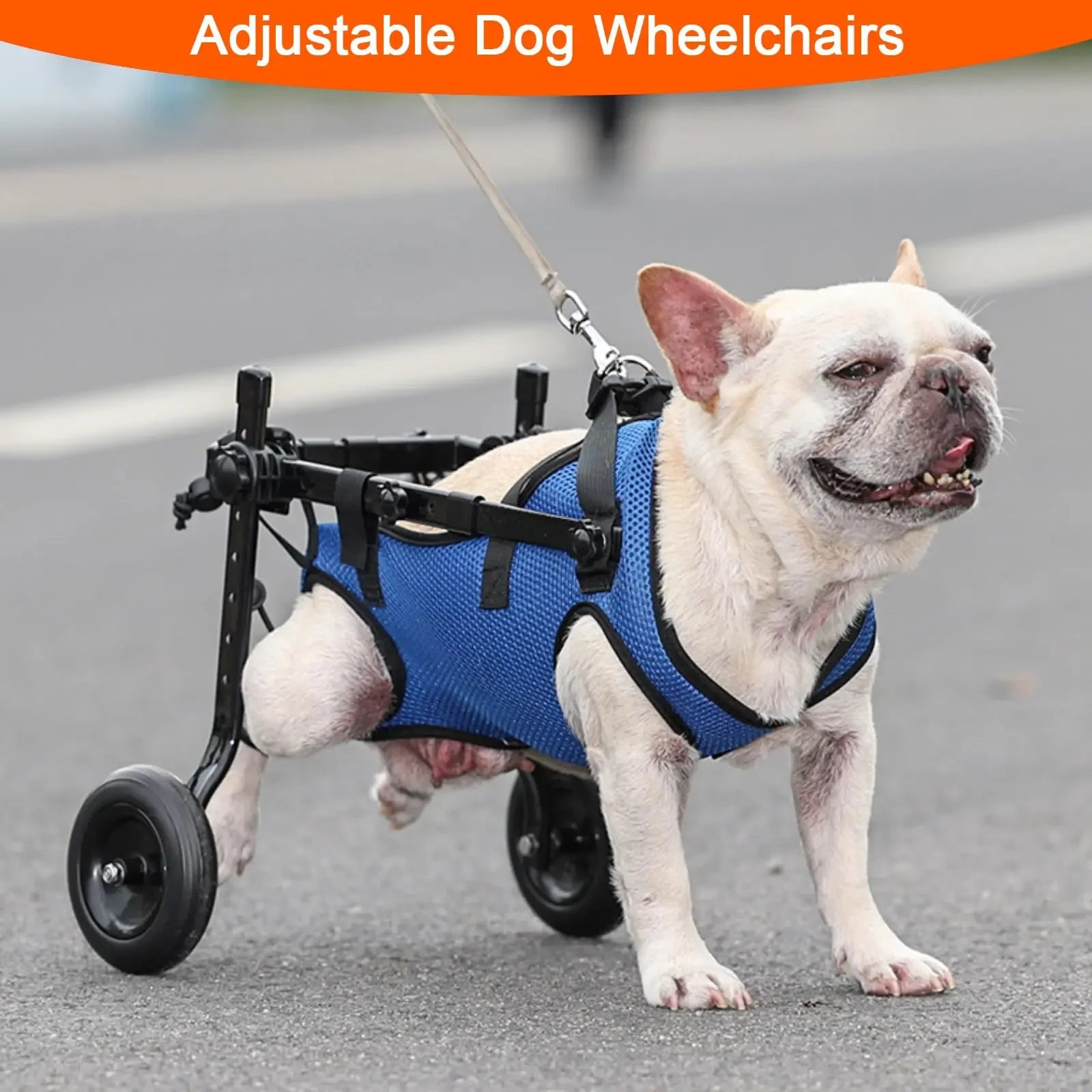 Adjustable Pet Walk Booster Walking Wheels Durable Pet Hind Legs Bracket Blue Pet Walk Tool Cat Recovery Aid Car Disability Dog - The Squeaky Toy