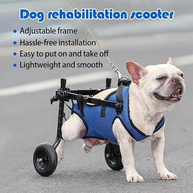 Adjustable Pet Walk Booster Walking Wheels Durable Pet Hind Legs Bracket Blue Pet Walk Tool Cat Recovery Aid Car Disability Dog - The Squeaky Toy