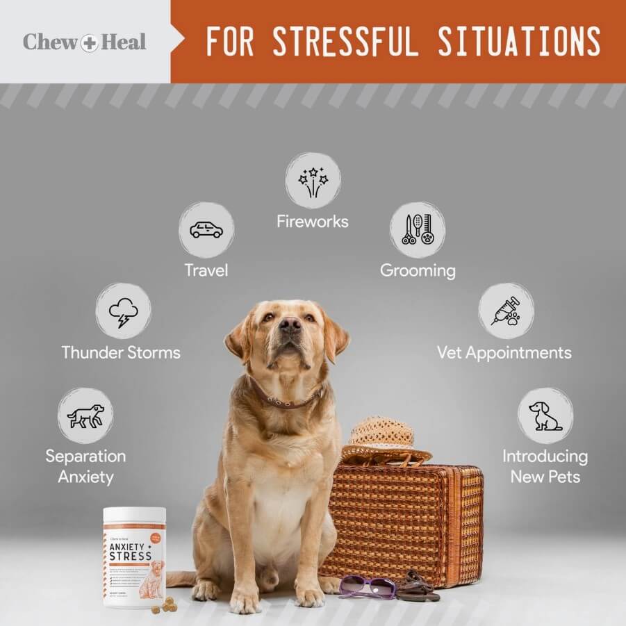 Graphic Anxiety & Stress Relief Chews for Small Dogs - The Squeaky Toy