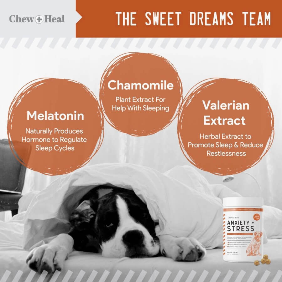 Graphic Anxiety & Stress Relief Chews for Small Dogs - The Squeaky Toy