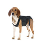 Back Brace For Dogs with IVDD, Arthritis, or Back Pain - The Squeaky Toy