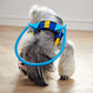 Dog wearing Blind Dog Anti - Collision Halo Harness For Dogs - The Squeaky Toy
