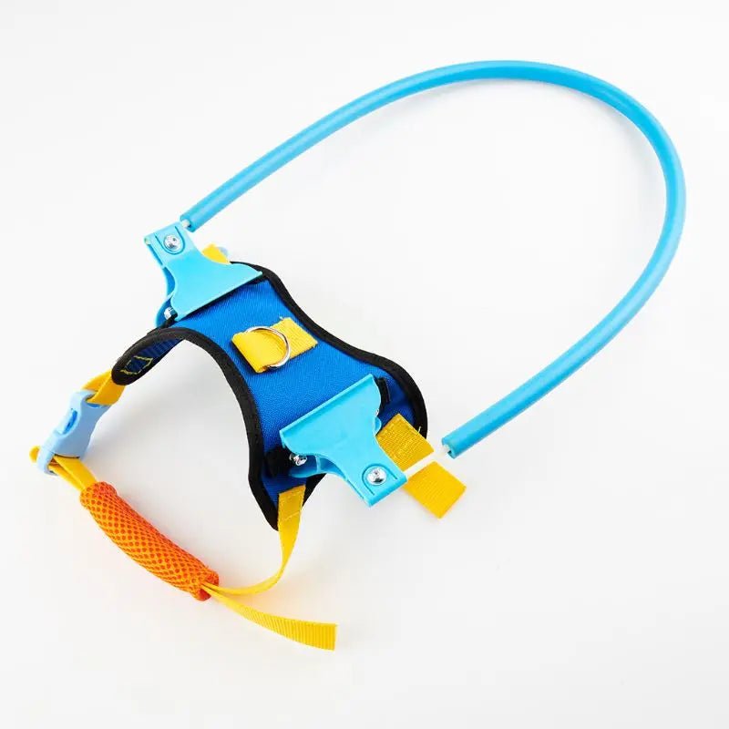 Blind Dog Anti - Collision Halo Harness For Dogs - The Squeaky Toy