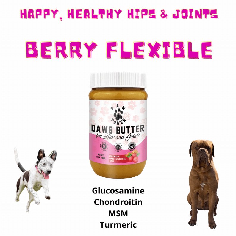 Dawg Butter for Hips & Joints - The Squeaky Toy