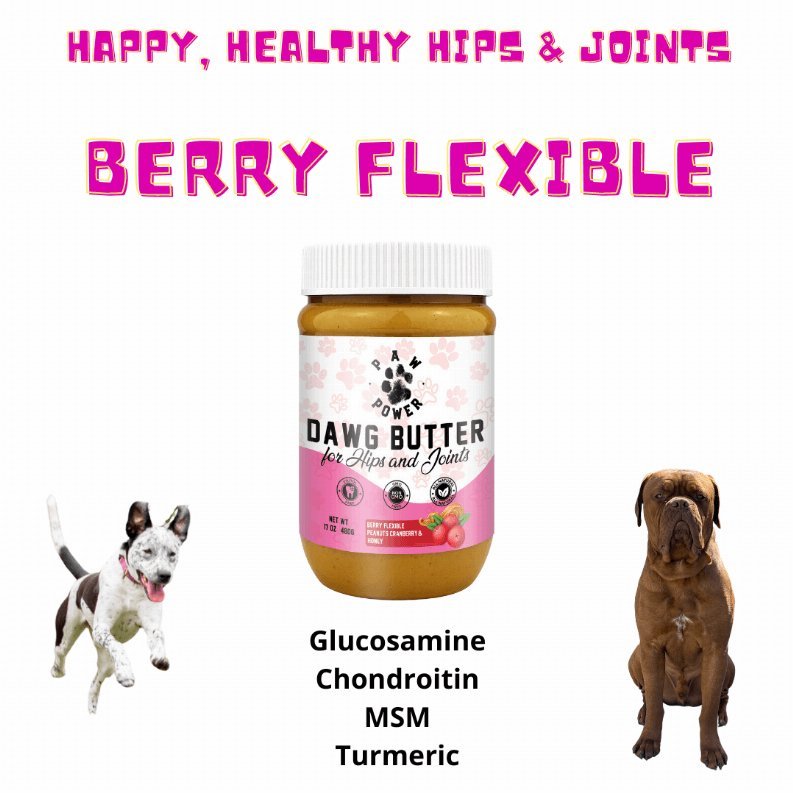 Graphic Dawg Butter for Hips & Joints Peanut Butter - The Squeaky Toy