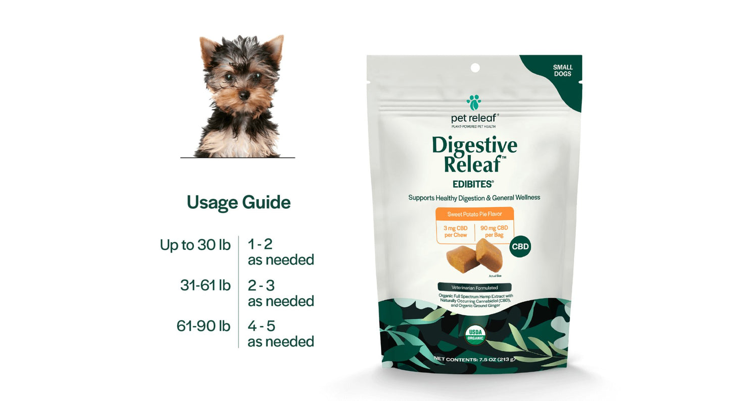 Digestive Chews for Small Dogs with Stomach Distress - The Squeaky Toy