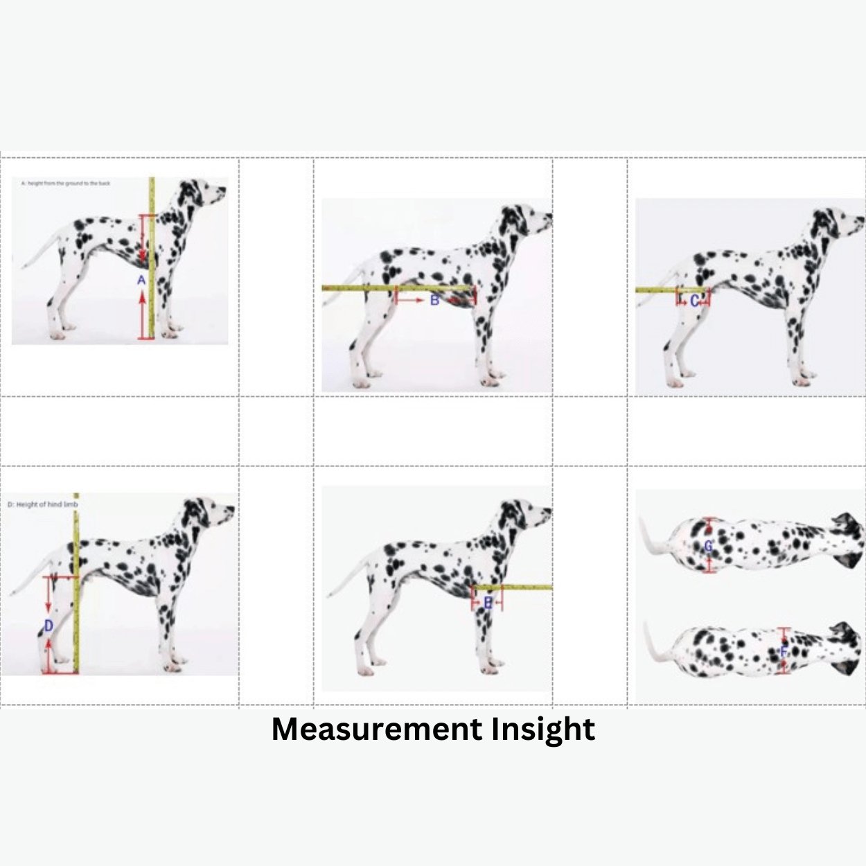 Dog Wheelchair for Medium and Large Dogs - The Squeaky Toy