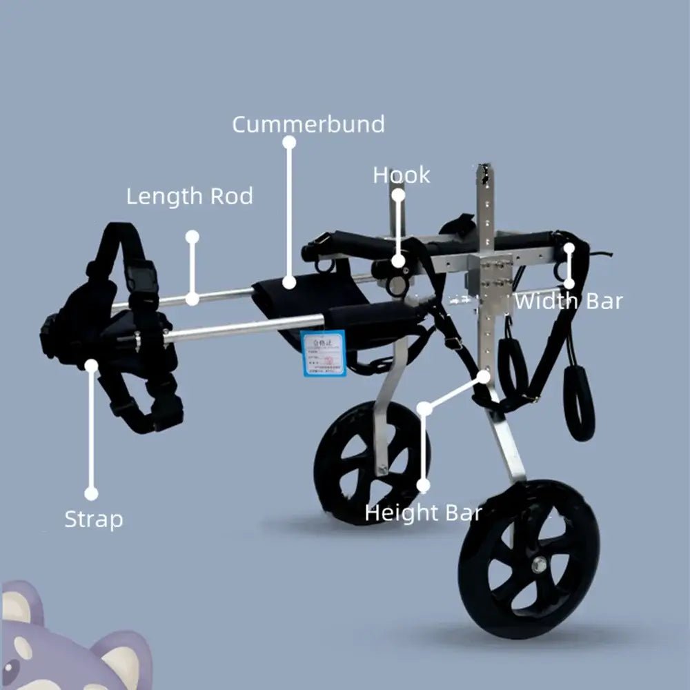 Dog Wheelchair for Medium and Large Dogs - The Squeaky Toy