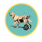 Dog Wheelchair for Medium and Large Dogs - The Squeaky Toy