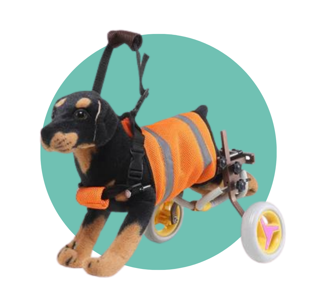 Pet Walking Dog Wheelchair Scooter