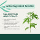 Graphic Hip & Joint Releaf For Aging Dogs Organic Hemp Chews for Dogs - Travel Size ($12.00) - The Squeaky Toy