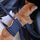Hip Support Sling - Assistance into vehicles, Support for Disabled, Injured, and Elderly Dogs - The Squeaky Toy