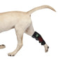 LED Light Therapy Wrap for Dogs - The Squeaky Toy