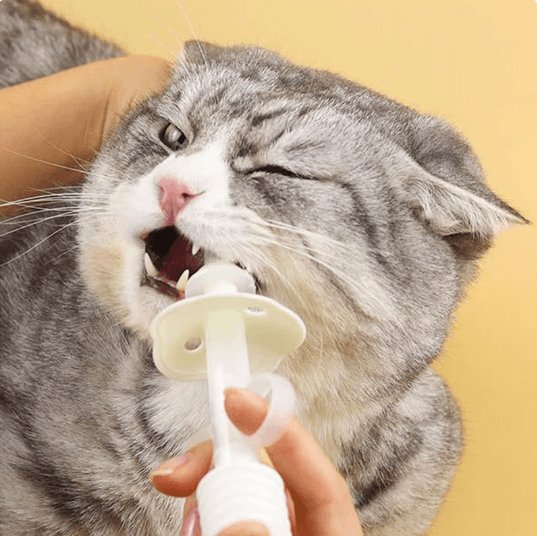 Multi - Functional Medication Syringe for Dogs and Cats - The Squeaky Toy