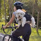 Outdoor Backpack Carrier Full Body Dog Sling with Handle Dog Lift Harnesses for Puppy Elderly Disabled Dog - The Squeaky Toy