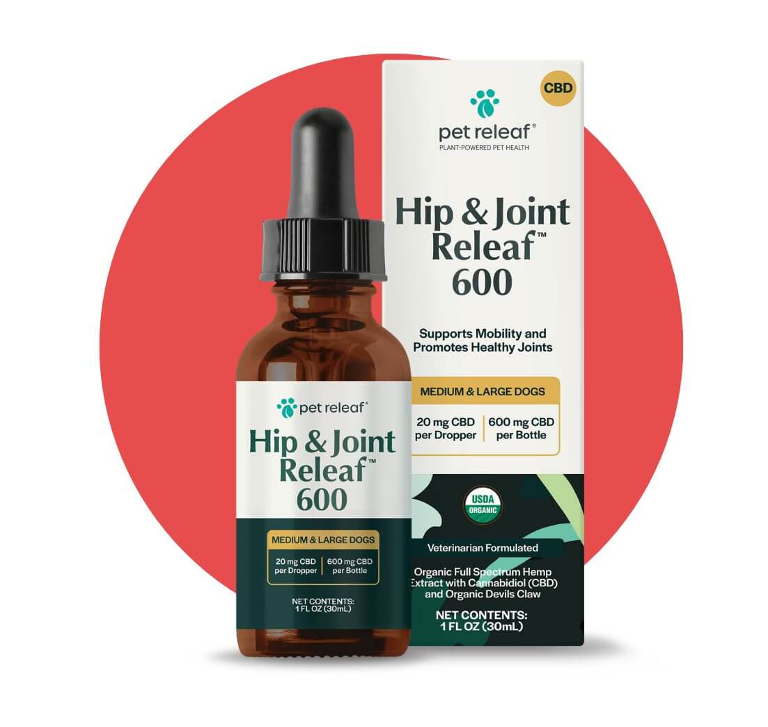 Hip and Joint 600 CBD Oil for dogs
