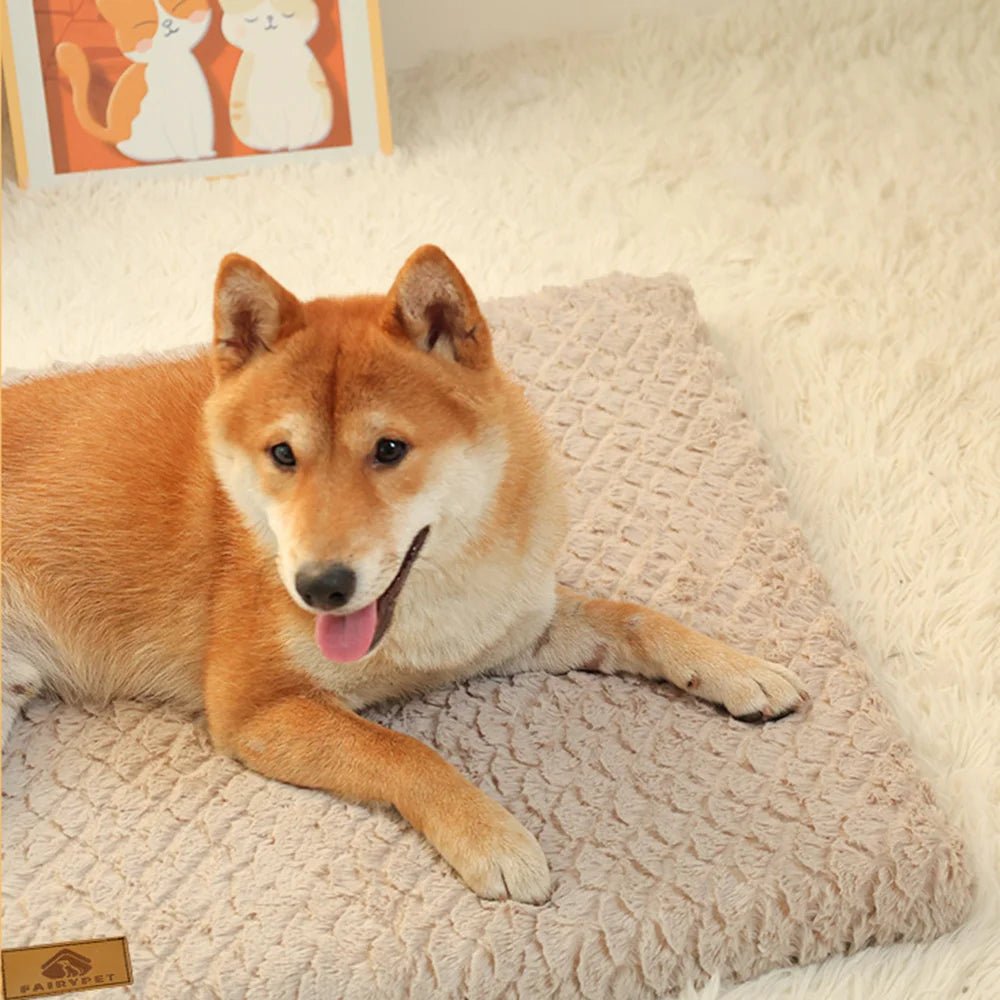 Orthopedic Memory Foam Dog Bed – Waterproof Crate Mat with Removable Washable Faux Fur Cover – Anti - Slip Bottom for Medium to XXL Pets - The Squeaky Toy