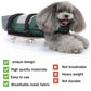 Pet Walking Scooter – Mobility Aid for Paralyzed Dogs & Cats, Comfortable Chest & Limb Support, Durable Nylon, Lightweight & Easy to Use - The Squeaky Toy