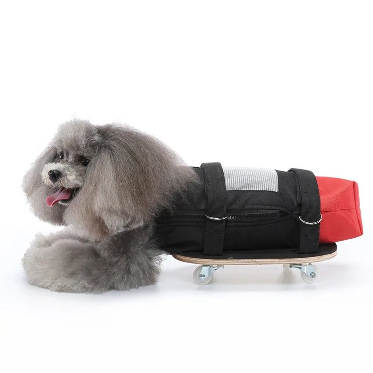 Pet Walking Scooter – Mobility Aid for Paralyzed Dogs & Cats, Comfortable Chest & Limb Support, Durable Nylon, Lightweight & Easy to Use - The Squeaky Toy