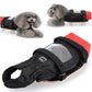 Pet Walking Scooter – Mobility Aid for Paralyzed Dogs & Cats, Comfortable Chest & Limb Support, Durable Nylon, Lightweight & Easy to Use - The Squeaky Toy