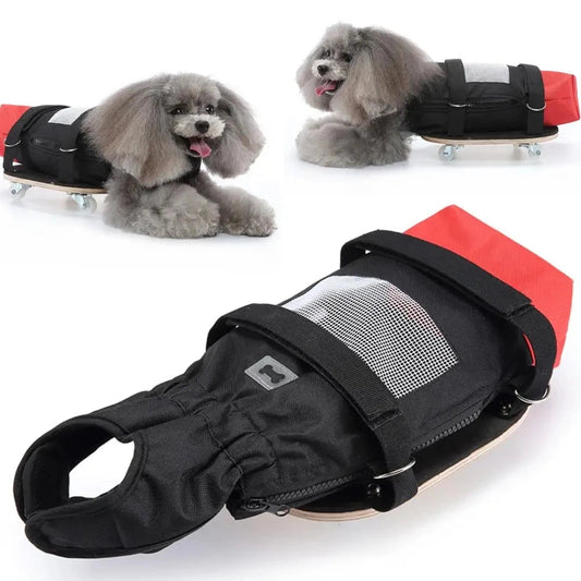 Pet Walking Scooter – Mobility Aid for Paralyzed Dogs & Cats, Comfortable Chest & Limb Support, Durable Nylon, Lightweight & Easy to Use - The Squeaky Toy