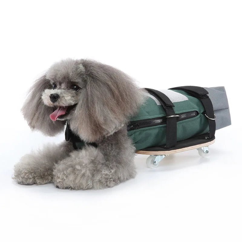 Pet Walking Scooter – Mobility Aid for Paralyzed Dogs & Cats, Comfortable Chest & Limb Support, Durable Nylon, Lightweight & Easy to Use - The Squeaky Toy