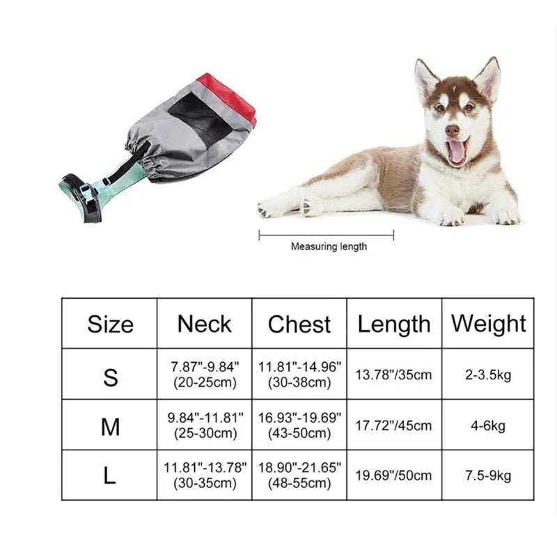 Pet Walking Scooter – Mobility Aid for Paralyzed Dogs & Cats, Comfortable Chest & Limb Support, Durable Nylon, Lightweight & Easy to Use - The Squeaky Toy