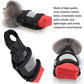 Pet Walking Scooter – Mobility Aid for Paralyzed Dogs & Cats, Comfortable Chest & Limb Support, Durable Nylon, Lightweight & Easy to Use - The Squeaky Toy