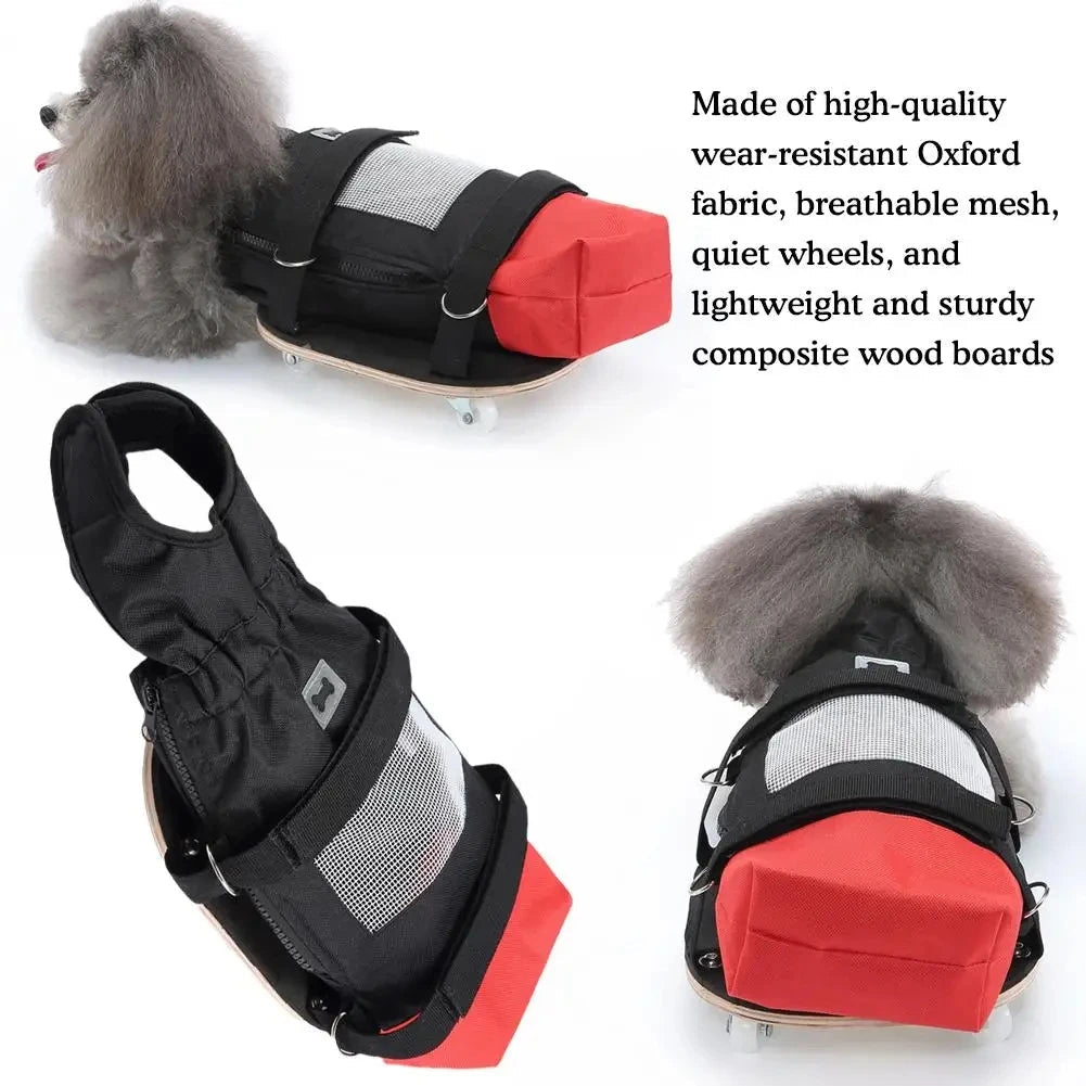 Pet Walking Scooter – Mobility Aid for Paralyzed Dogs & Cats, Comfortable Chest & Limb Support, Durable Nylon, Lightweight & Easy to Use - The Squeaky Toy