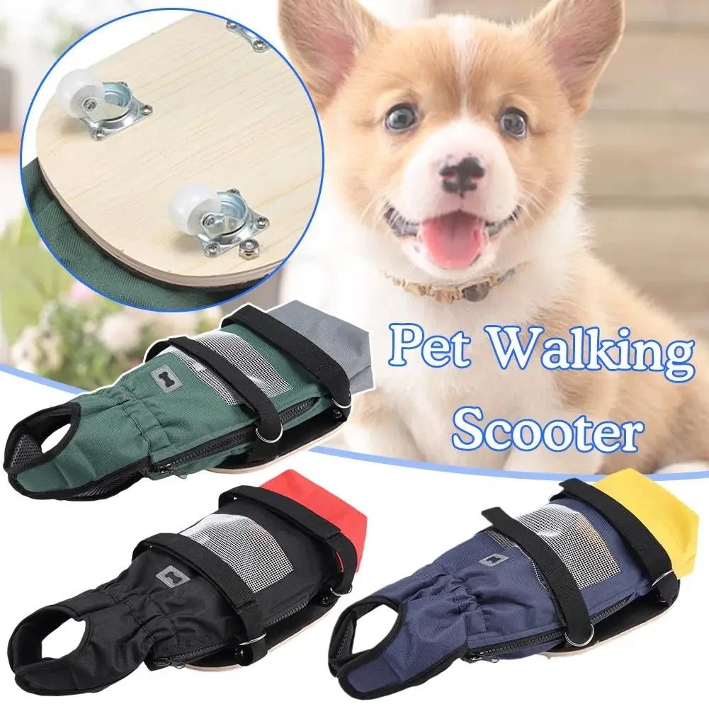 Pet Walking Scooter – Mobility Aid for Paralyzed Dogs & Cats, Comfortable Chest & Limb Support, Durable Nylon, Lightweight & Easy to Use - The Squeaky Toy