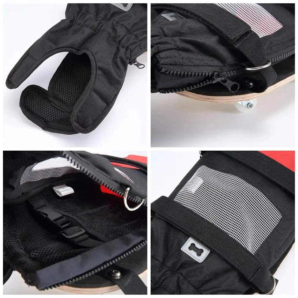 Pet Walking Scooter – Mobility Aid for Paralyzed Dogs & Cats, Comfortable Chest & Limb Support, Durable Nylon, Lightweight & Easy to Use - The Squeaky Toy