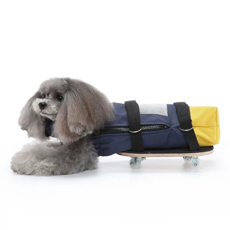 Pet Walking Scooter – Mobility Aid for Paralyzed Dogs & Cats, Comfortable Chest & Limb Support, Durable Nylon, Lightweight & Easy to Use - The Squeaky Toy