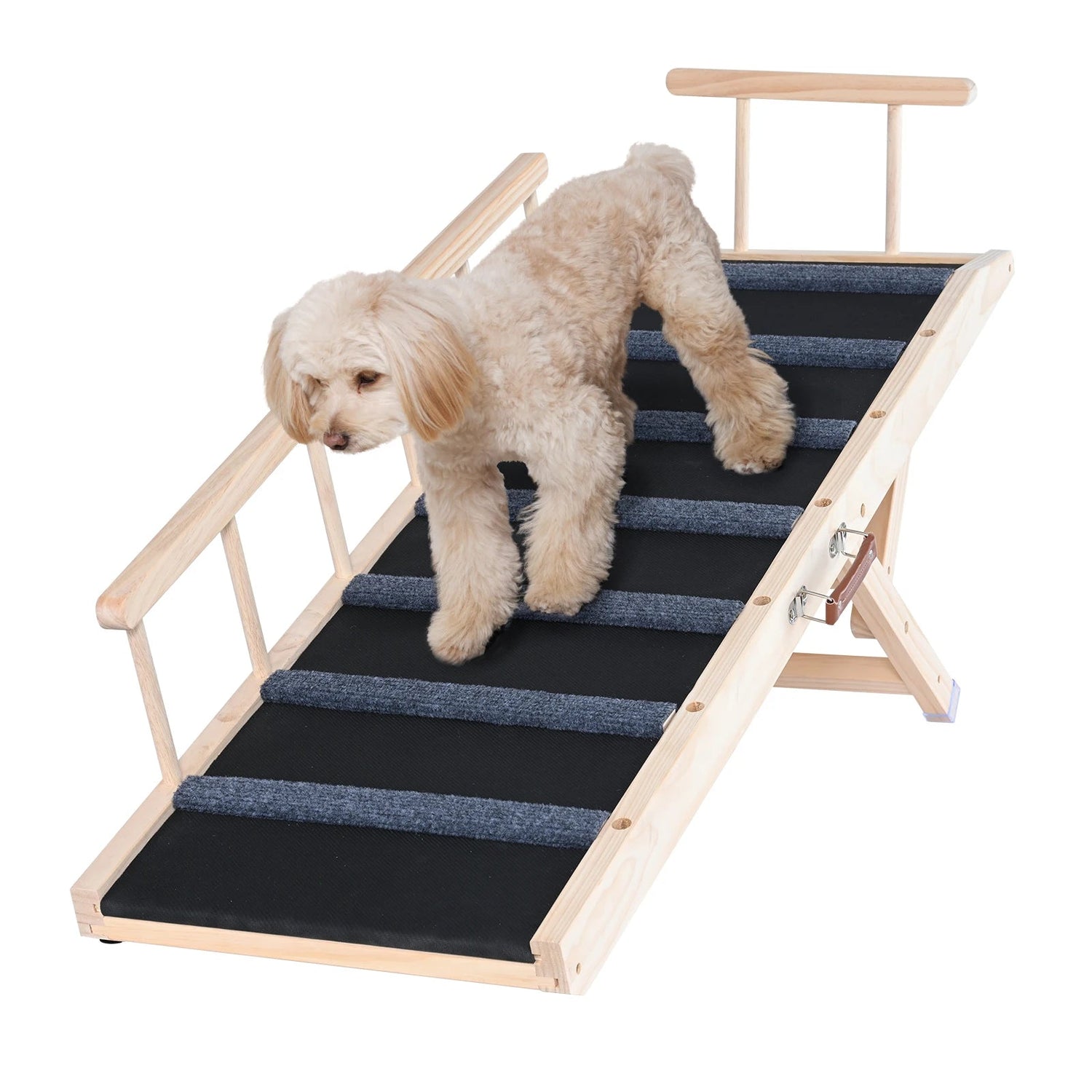 Ramp for All Dogs - The Squeaky Toy