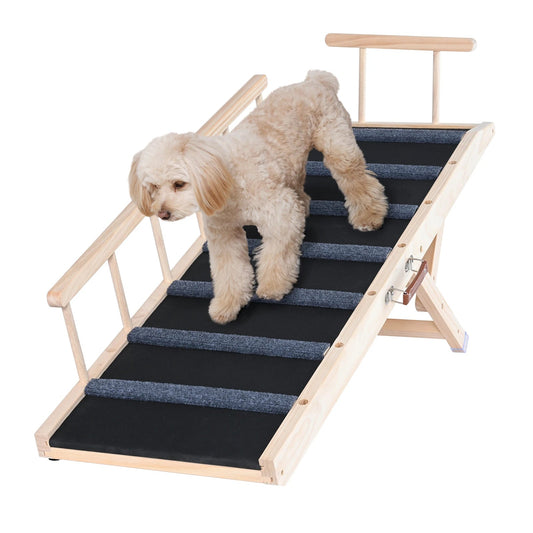 Ramp for All Dogs - The Squeaky Toy