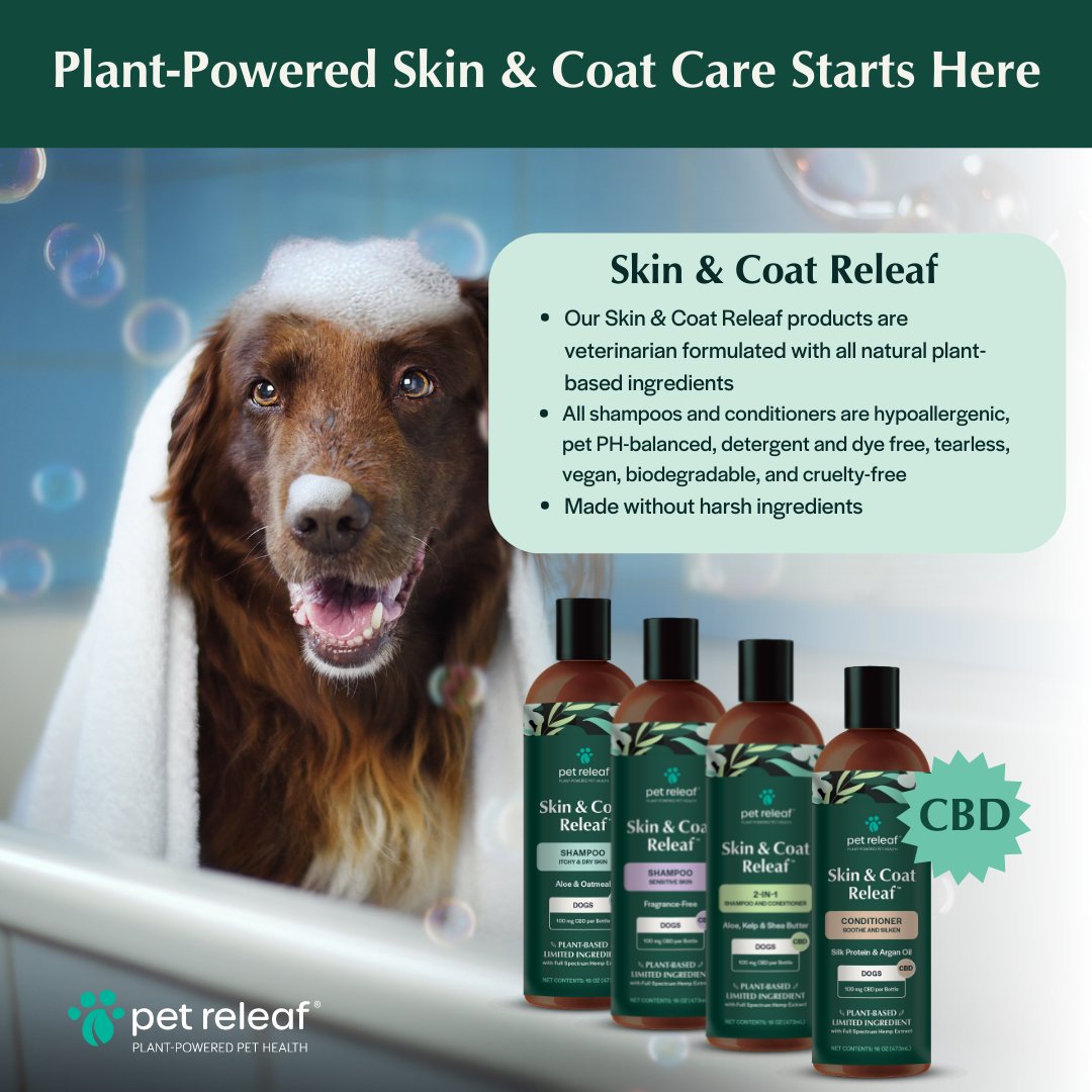 Skin and Coat Releaf Shampoo for Itchy & Dry Skin - The Squeaky Toy