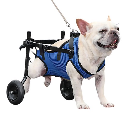 Adjustable Dog Wheelchairs for Back Legs Dog Wheelchair Cart for Hip Support Mobility Aids for Small Pets Hind Limbs