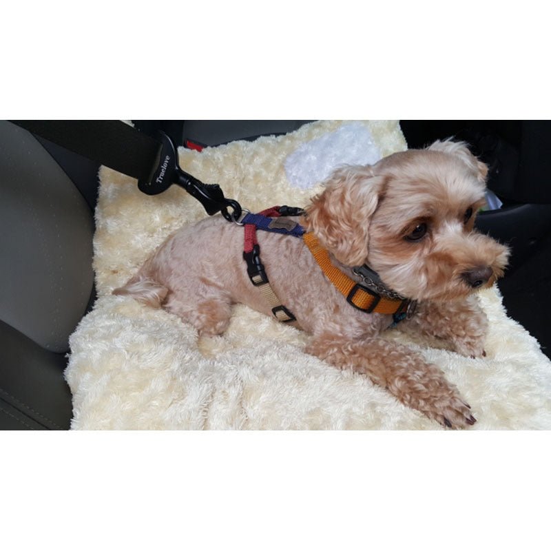 The Perfect Dog Seat Belt - The Squeaky Toy