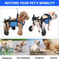 Wheelchair for XSmall, Small, & Medium Dogs - The Squeaky Toy